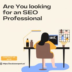 Are You Looking for an SEO Professional?