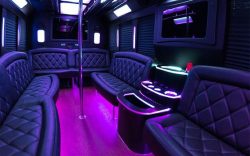 Party Bus Rental Queens