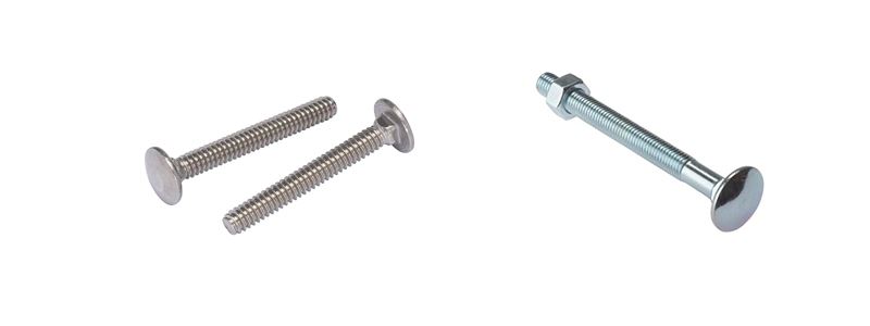 Carriage Bolts Manufacturer in India