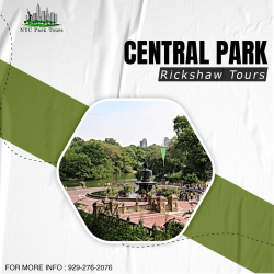 The Best Central Park Rickshaw Tour