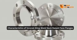 Characteristics of Inconel Alloy Weld Neck Raised Face Flanges