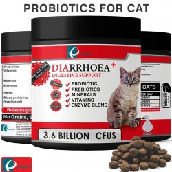 PROBIOTICS – GIVE YOUR DOG A LONGER & HEALTHIER LIFE