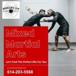 Get MMA Training In Columbus Ohio