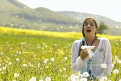 Hayfever Injections Leicester