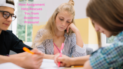 How Assignment Help Rescues You from Academic Pressure!