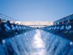 Water Management is Way More Important – Know The Reasons