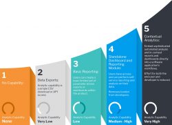 Maturity Curve | Yellowfinbi