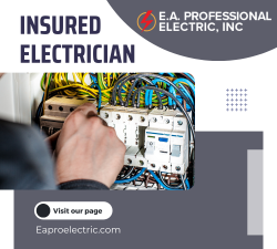 Local Electrical Repair Service