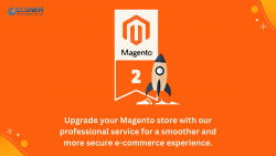 Magento Upgrade Service