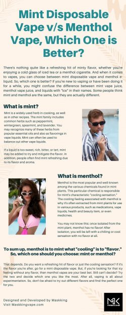 Mint Disposable Vape v/s Menthol Vape, Which One is Better?