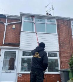 Roof Cleaning