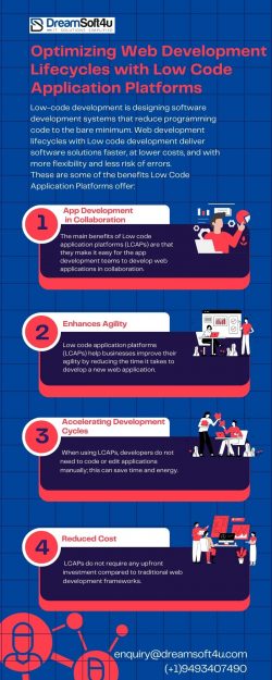 Optimizing Web Development Lifecycles with Low Code Application Platforms