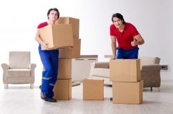 Best Movers in San Diego