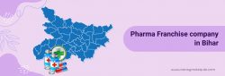 PCD Pharma Franchise in Bihar | Tansy Molequle