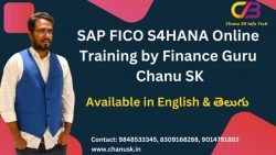 SAP FICO Online Course