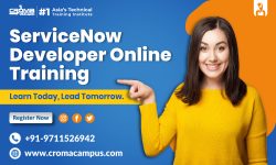 ServiceNow Developer Course in Gurgaon