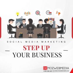 Social Media Marketing Companies in Chicago – MOZ WEB MEDIA