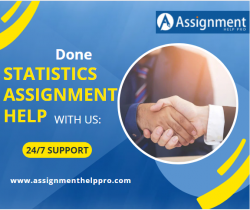 Online Statistics Assignment Help in USA