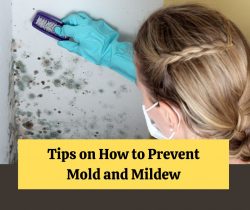 Tips on How to Prevent Mold and Mildew