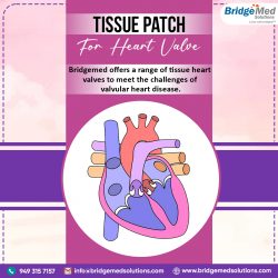 Tissue Patch for Heart Valve