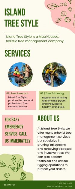 Tree Removal and Trimming Arborist Services by Island Tree Style