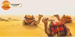 best india tour package at best rates with taxi service