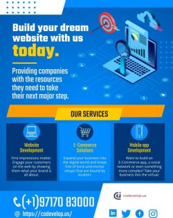 Build Your Dream Website With Codevelop_us