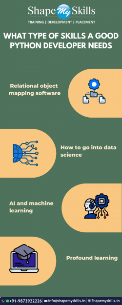 What type of skills A good python Developer needs