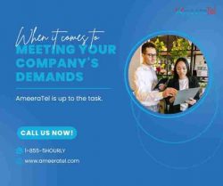 https://www.ameeratel.com/microblog/ameeratel-is-up-to-the-task-meeting-your-companys-demands/