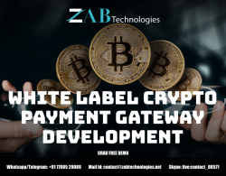 White label Crypto Payment Gateway Development