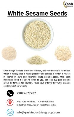 White Sesame Seeds