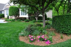 Lawn Mowing Wantirna South