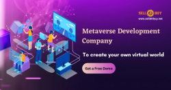 Metaverse Development Company