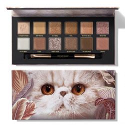 Explorer Eyeshadow Palette 09 Cat