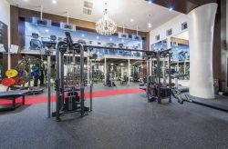 Find The Best Gyms In Alabama Usa