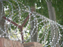 Razor Blade Barbed Wire