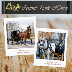 Looking for Horse Carriage Ride in Central Park?