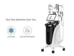 Máquina Cryo + EMS 2 en 1