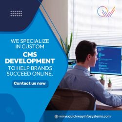 Website development company in India