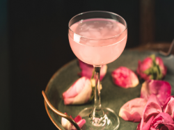 Rose Petal Martini