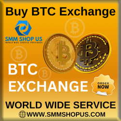 Bitcoin Exchanges