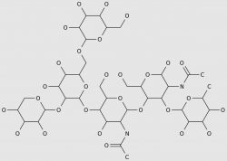 ECHEMI | What is bromelain