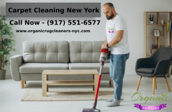 Carpet Cleaning New York