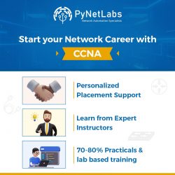 ccna course online