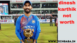 Dinesh karthik net worth