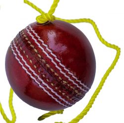 Leather Hanging Cricket Ball