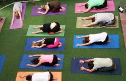 300 Hour Yoga Teacher Training in Rishikesh