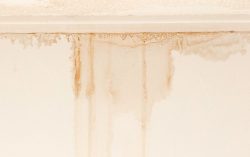 Signs Of A Water Leak Behind The Walls