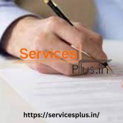 LLP Registration In Delhi | Services Plus