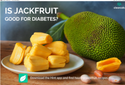 Is Jackfruit Good For Diabetes?